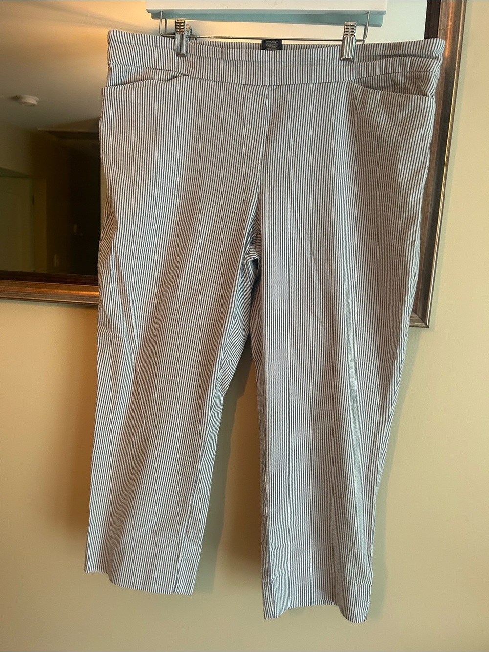 Hilary Radley Blue & White Striped Pull-On Pants - XXL